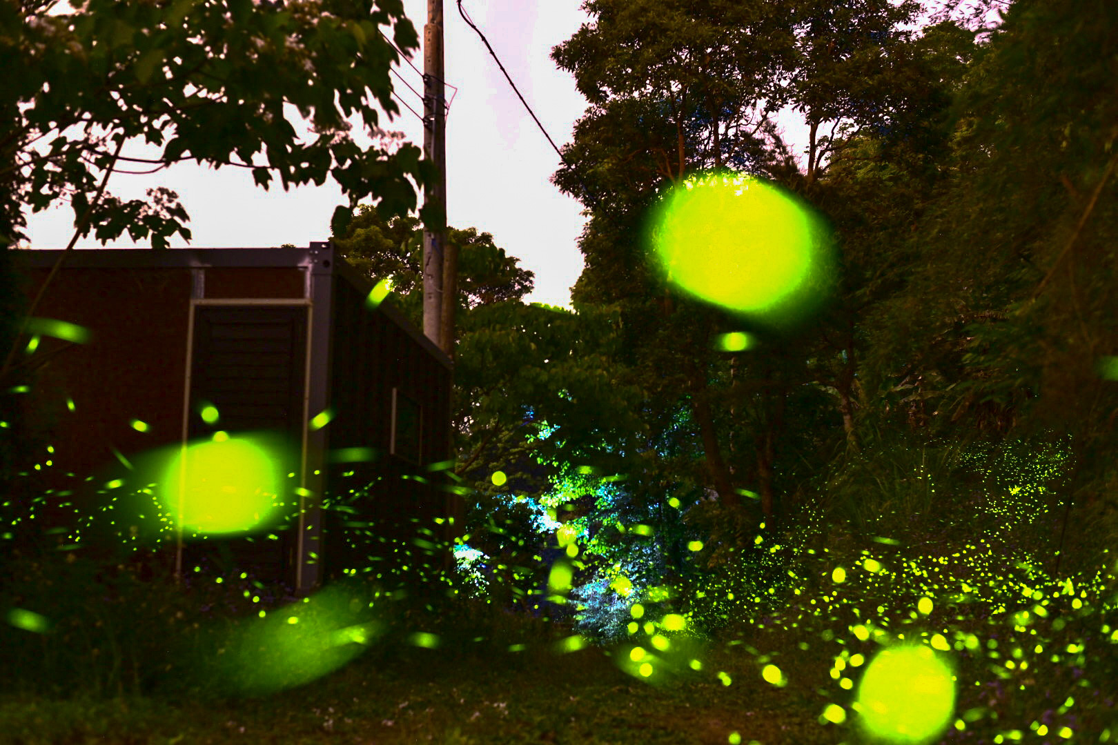 高鐵單程票（測試）