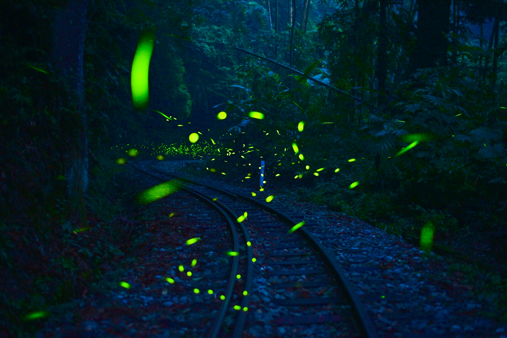 高鐵單程票（測試）